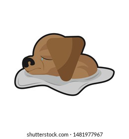 Poor innocent little puppy crying 