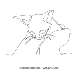a poor little kitten in the hands of a person, kindness to homeless animals, hand-drawn, continuous monoline, drawing in one line