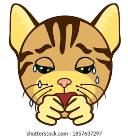 poor upset emoticon weeps and cries, simplistic facial expression vector illustration, cat cartoon character, simple hand drawn line icon from a set
