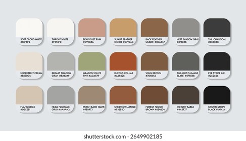 Paleta de cores Poospiza rubecula. Gráfico de amostra de tom de cor Poospiza rubecula com códigos HEX e nomes de cores. Rufous-breasted fracotes urdidura penas e corpo tons variantes. Vetor da Paleta de Cores de Madeira