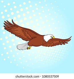 Pop art background bird eagle, falcon. Vector illustration of an imitation retro comic style