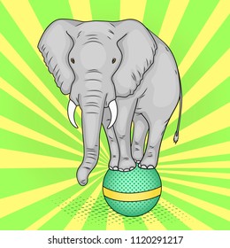 Pop art background, green sun rays. A circus elephant stands on a ball. The imitation of comic style. Vector illustration