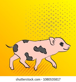 Pop Art Background Pig Pet Mini Pig. Vector illustration of a vintage, retro style comic strip