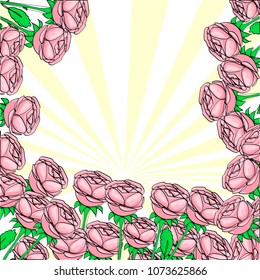 Pop art background, rays of the sun. By the edge of the rose. Flowers greeting card vector