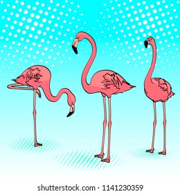 Pop art background. Three pink flamingos on the blue sea, birds rest. Vector illustration