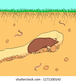 pop art background. Vector illustration cut section of land with blue sky, grass, underground soil with dirt, mud, stone and gophers in hole