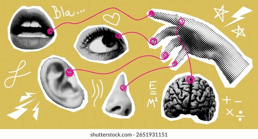 pop art collage of human senses, lip eye ear nose brain and hand. Perfect for educational, artistic, and surreal concept-based visual design projects.