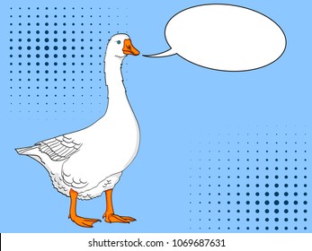 Pop art duck, goose, bird on a color blue background. Comic book style imitation vector. Text bubble