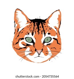 Pop Art Head Cat Vector