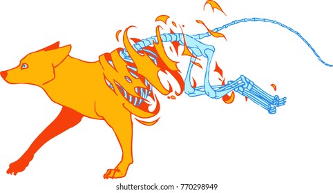Pop art of a orange fox unraveling into a blue skeleton