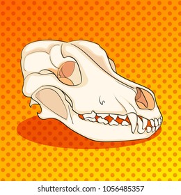 Pop art skull dog sideways. Color background. Comic book style imitation. vector illustration