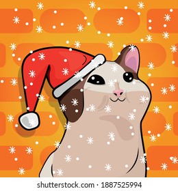 POP cat meme New Year with a santa claus hat