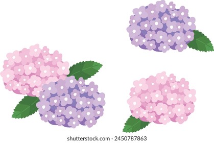 Pop and colorful hydrangea illustration set