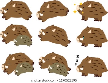 Pop Cute Wild Boar Illustration Set