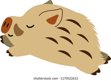 Pop Cute wild boar illustration