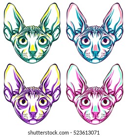 Pop-art cat
	
