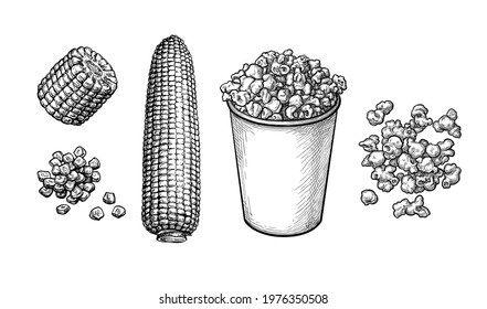 Popcorn in cup. Corncob and handful of corn kernels. Ink sketch set isolated on white background. Hand drawn vector illustration. Retro style.