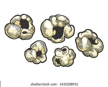 Popcorn food color sketch engraving vector illustration. Scratch board style imitation. Black and white hand drawn image.