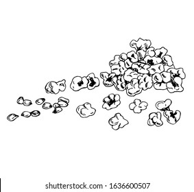 Popcorn  lying in a bunch with corn seeds in line art style.