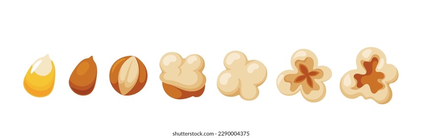 Popcorn Seed Popping Animation Sheet Showcases A Sequence Of Transforming From Whole Grain Into , Fluffy Pop Corns