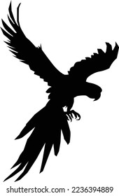The popinjay bird silhouette in vector