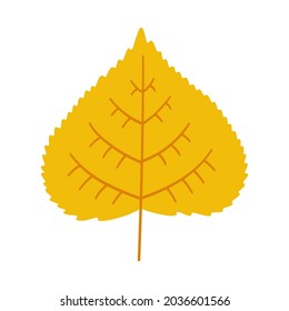 Poplar autumn leaf on white background. Warm colors of fall, vector illustration in yellow color for design.
