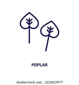 poplar icon from nature collection. Thin linear poplar, tree, plant outline icon isolated on white background. Line vector poplar sign, symbol for web and mobile