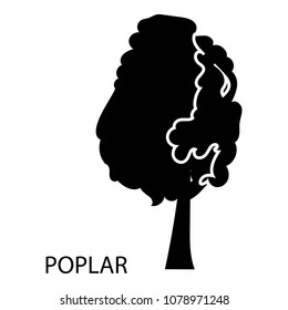 Poplar icon. Simple illustration of poplar vector icon for web