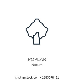 Poplar icon. Thin linear poplar outline icon isolated on white background from nature collection. Line vector sign, symbol for web and mobile