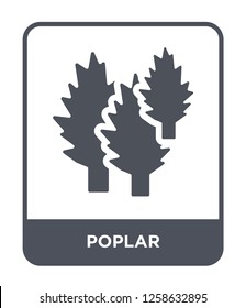 poplar icon vector on white background, poplar trendy filled icons from Nature collection, poplar simple element illustration
