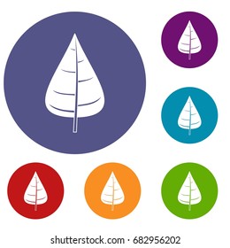 Poplar leaf icons set in flat circle red, blue and green color for web