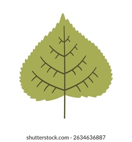Poplar leaf in light green color. One element isolated on white. Spring or summer background, vector illustration