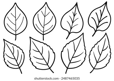 Poplar Leaf line art capturing natural elegance with minimalist strokes