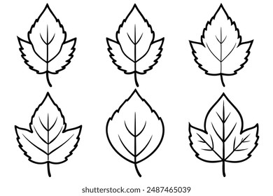 Poplar Leaf line art celebrating the beauty of delicate poplar foliage