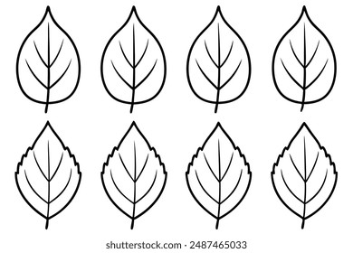 Poplar Leaf line art exploring simplicity in poplar leaf patterns