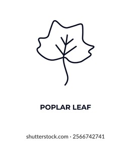 poplar leaf outline icon. Linear vector from nature concept. Thin line poplar leaf icon isolated on white background