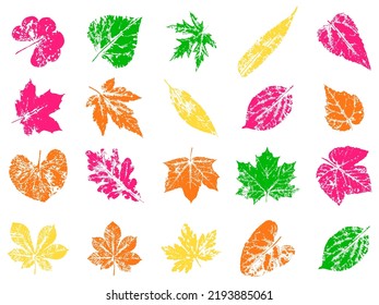 Poplar Leaf stamp. Imprint of autumn fallen leaves. Creative natural decor. Hand-crafted vector art prints. Seasonal modern pattern for packaging.