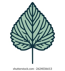 Pappelblattbaum Pflanze Natur flache Farbe Vektorgrafik Schablone Design
