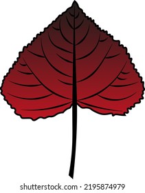 poplar leaf vector black to red colour