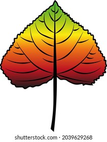 poplar leaf vector colour autumn