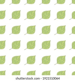Poplar leaves pattern. Idea for decors, ornaments, wallpapers, gifts, damask, celebrations, invitation, greeting, meeting, spring and summer themes. Isolated vector illustration with white background.