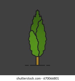 Poplar tree color icon. Forestry. Forest tree. Isolated vector illustration