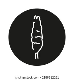 Poplar tree color line icon. Pictogram for web page, mobile app, promo.