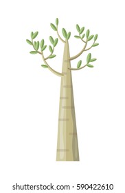 Poplar tree with green leaves. Tree forest, leaf tree isolated branch nature green, plant eco organic natural wood illustration. Vector illustration