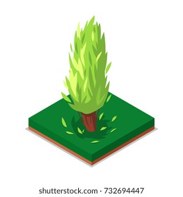 Poplar tree. Isometric green poplar tree icon isolated on white background. Parkland construction element vector illustration
