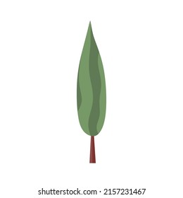 Poplar tree with long crown and trunk. Deciduous forest tall foliage plant. Green leaf cypress. Botanical flat cartoon vector illustration isolated on white background