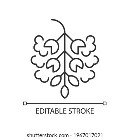 Poplar tree pollen linear icon. Cottonwood plant. Cause of allergic reaction. Allergy for plant. Thin line customizable illustration. Contour symbol. Vector isolated outline drawing. Editable stroke