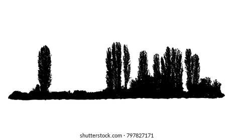 Poplar tree silhouette skyline, vector illustration isolated on white 