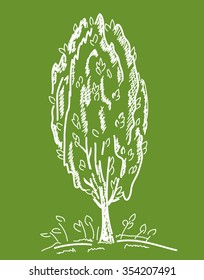 Poplar tree vector illustration. Monochrome tree sketch. 