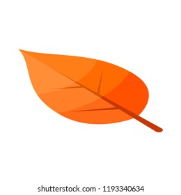 Poplar yellow tree leaf icon. Isometric of poplar yellow tree leaf vector icon for web design isolated on white background